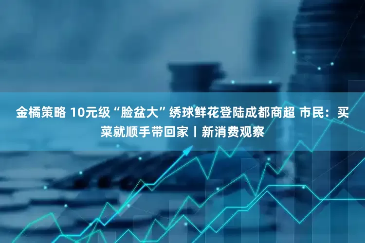 金橘策略 10元级“脸盆大”绣球鲜花登陆成都商超 市民：买菜就顺手带回家丨新消费观察