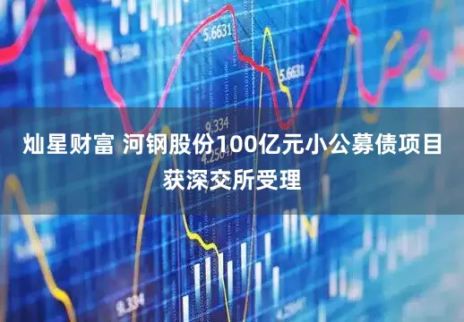 灿星财富 河钢股份100亿元小公募债项目获深交所受理