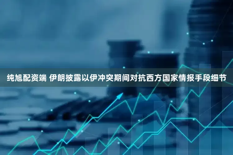 纯旭配资端 伊朗披露以伊冲突期间对抗西方国家情报手段细节