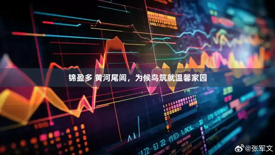 锦盈多 黄河尾闾，为候鸟筑就温馨家园