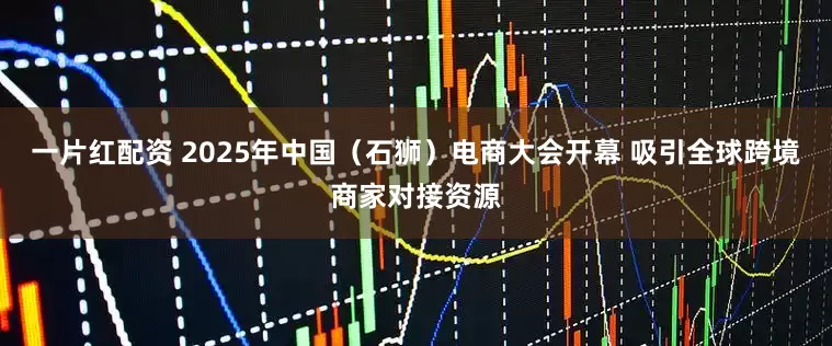 一片红配资 2025年中国（石狮）电商大会开幕 吸引全球跨境商家对接资源